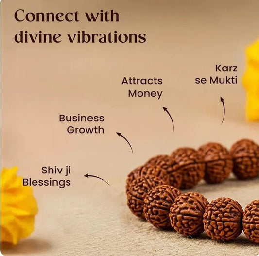 7 Mukhi Rudraksha Bracelet - POLYFY