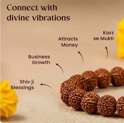 7 Mukhi Rudraksha Bracelet - POLYFY